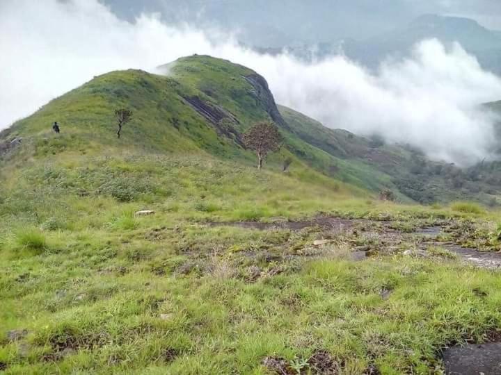 Jungle Retreat Natural Stay Kombaikadu Kodaikanal Dış mekan fotoğraf